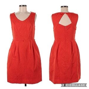 NWT Ellen Tracey Orange sleeveless exposed back dress